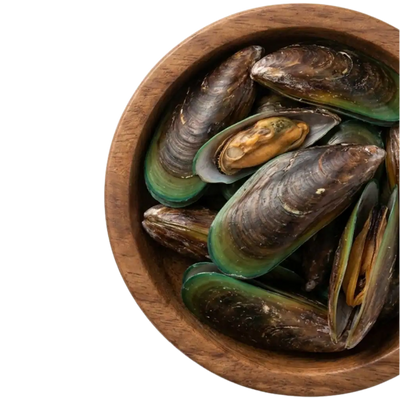 Mejillón de labio verde