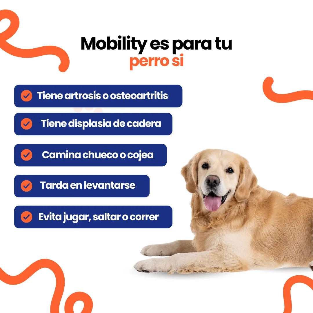 DogPure Mobility