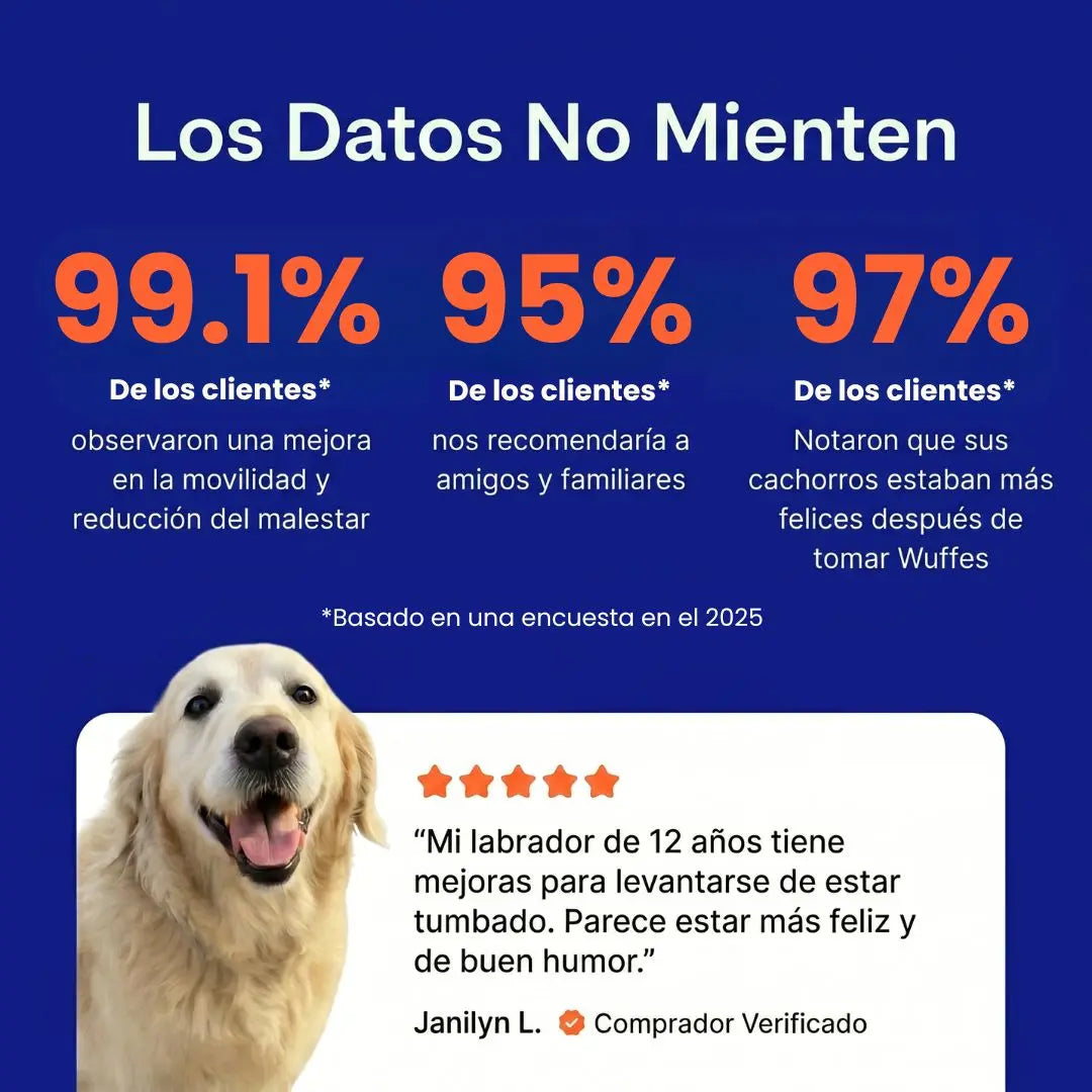 DogPure Movility