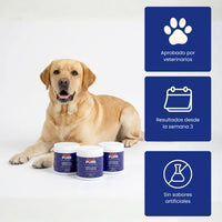 DogPure Mobility