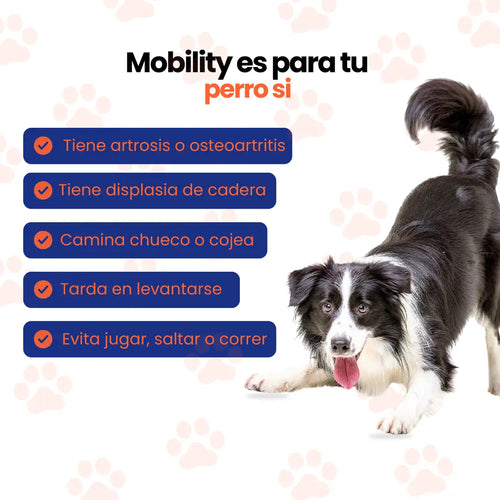 DogPure Mobility