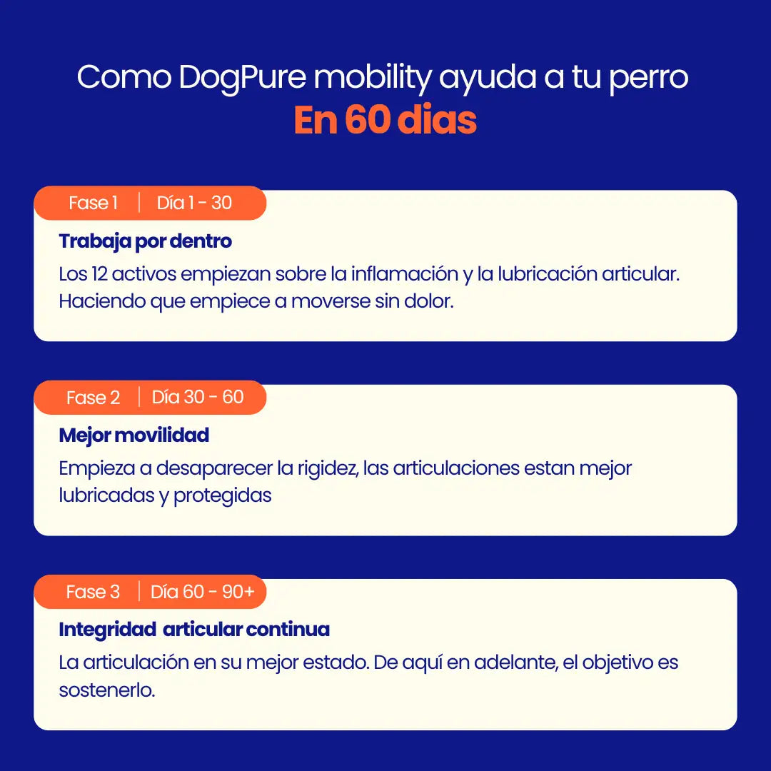 DogPure Mobility