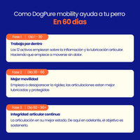 DogPure Mobility