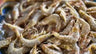 Glucosamina