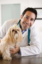 Dr. Luis Chavez, DVM